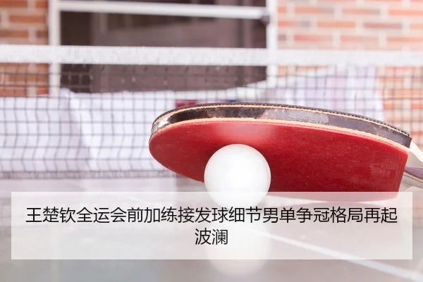 王楚钦全运会前加练接发球细节男单争冠格局再起波澜